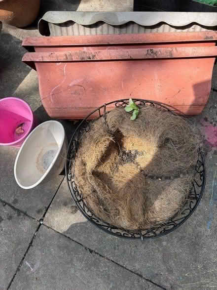 Photo of free Garden stuff (Cippenham SL1) #1