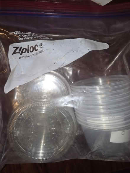 Photo of free plastic Condiment containers (South Shore) #1