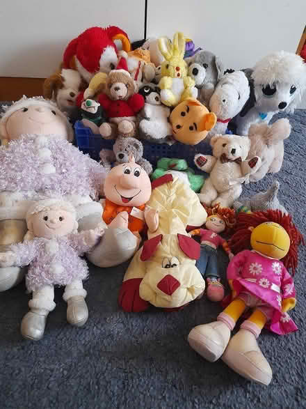 Photo of free Soft toys (B/S Parsonage Estate) #1