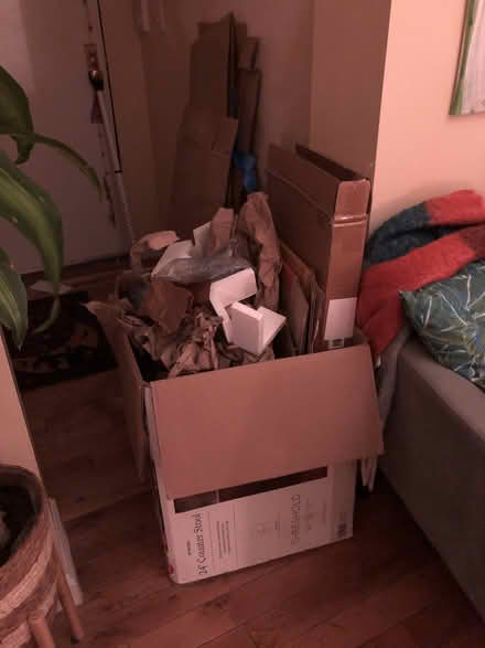 Photo of free moving boxes + packaging (Washington Heights) #2