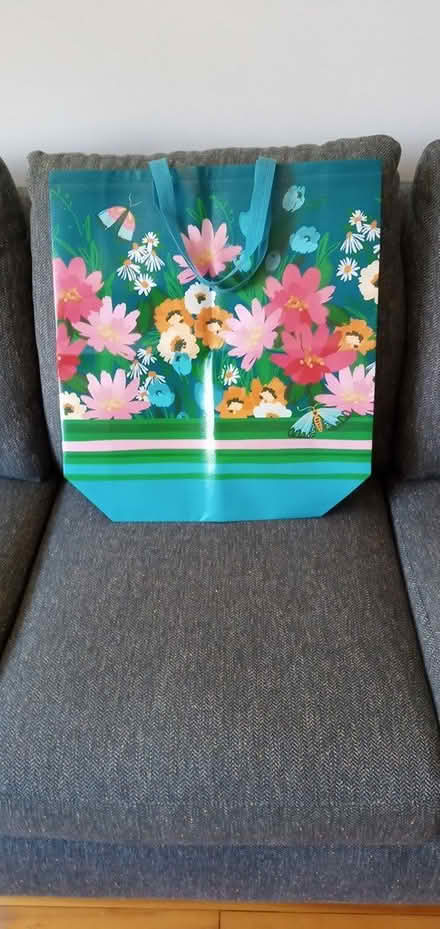 Photo of free Large shopping / carrying bag (Hintonburg) #1