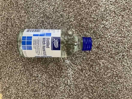 Photo of free Witch hazel (Garston, Liverpool L19) #1