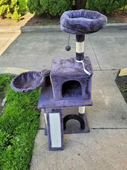 Photo of free Cat tree (Jeff Park 60630) #1
