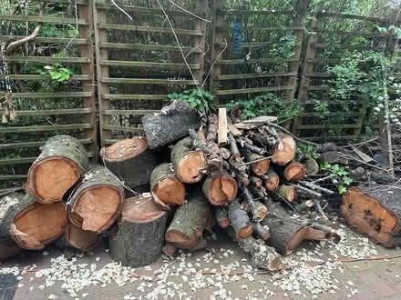 Photo of free firewood (pick up only) (Clinton Hill) #1