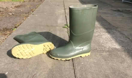 Photo of free Wellington Boots. Mens Size 11 (AB15) #1