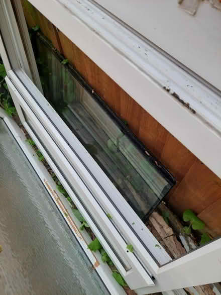 Photo of free doubleglazed upvc window (Carlton, NG4) #1
