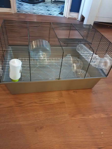 Photo of free Hamster/mice cage (Westergate PO20) #3