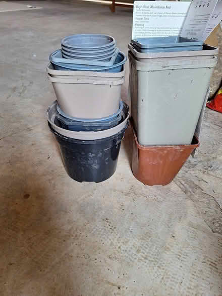 Photo of free Selection of plastic plant pots (Smarden) #1