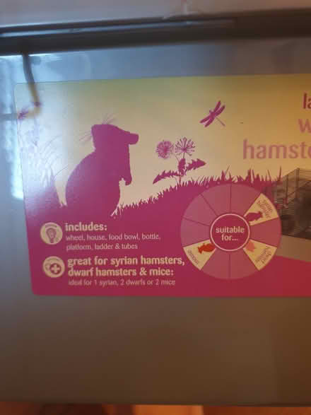 Photo of free Hamster/mice cage (Westergate PO20) #4