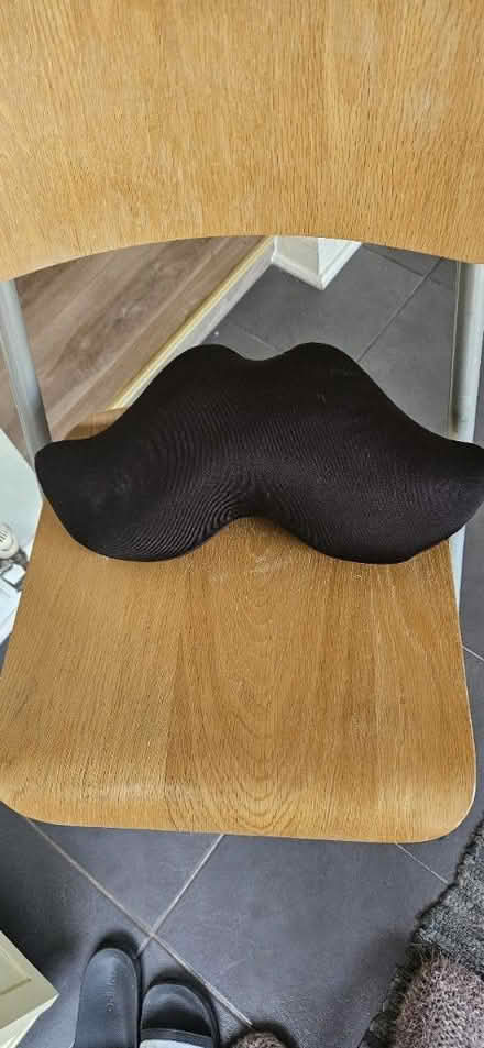 Photo of free Adult travel pillow (EN1) #2