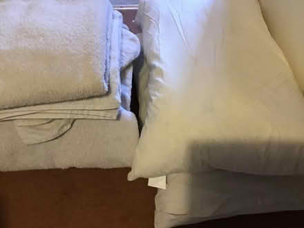 Photo of free Used bath sheets and down pillows (Chiswick Ground W4) #2