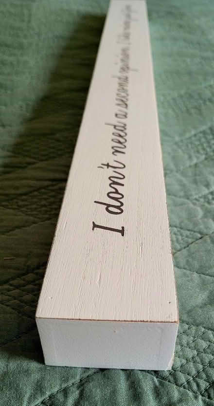 Photo of free Decorative statement stick (Lake Orion) #3