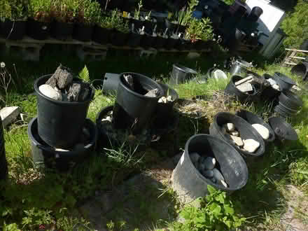 Photo of free rocks (Southeast Bothell) #2