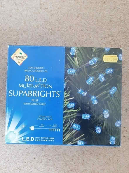 Photo of free Blue Garland Lights (Allesley Park CV5) #1