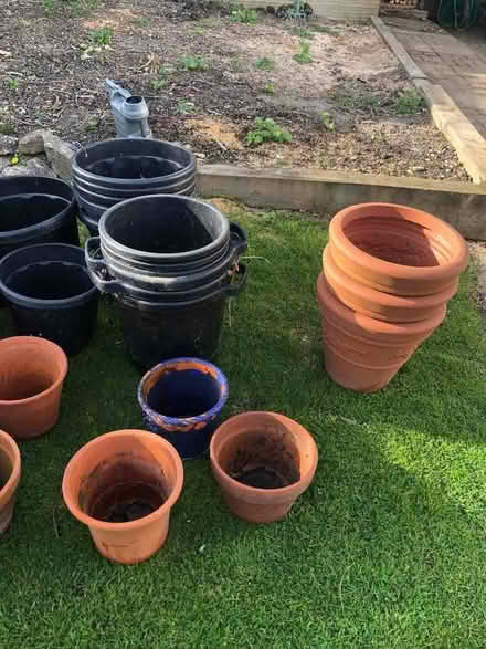 Photo of free Plant Pots (Sidley TN39) #2