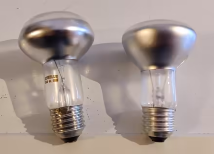 Photo of free 2x bulbs screw fixture, non-LED (Abertillery NP13) #1