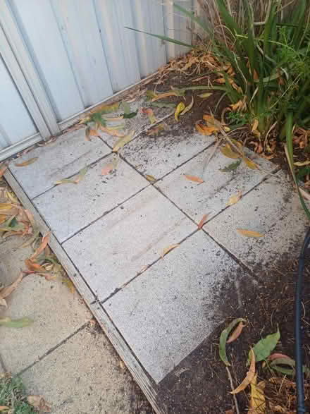 Photo of free Pavers (Kurralta Park SA) #1