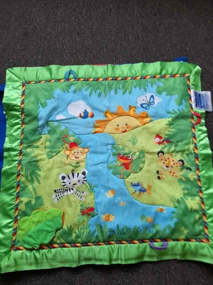 Photo of free Baby/playpen mats (B/S Parsonage Estate) #3