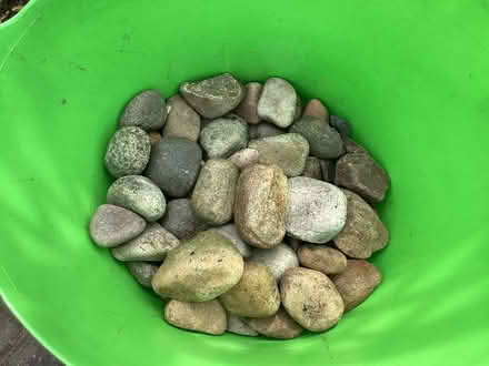 Photo of free Pebbles (Morley LS27) #1