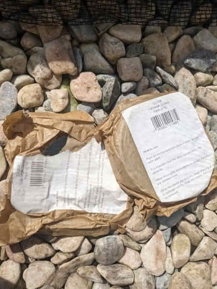 Photo of free Cabbage collars (Richmond TW10) #1