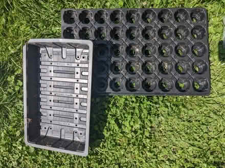 Photo of free Seed pellet tray & other seeding tray (Richmond TW10) #1