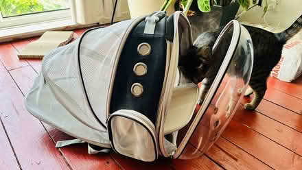 Photo of free Cat backpack (West Ham Park) #3
