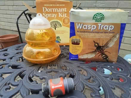 Photo of free Wasp and insect deterent (M2J1Y3) #1