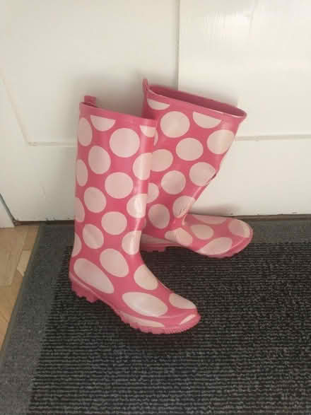 Photo of free Wellies, Adult Size 7 (University Area RG6) #1