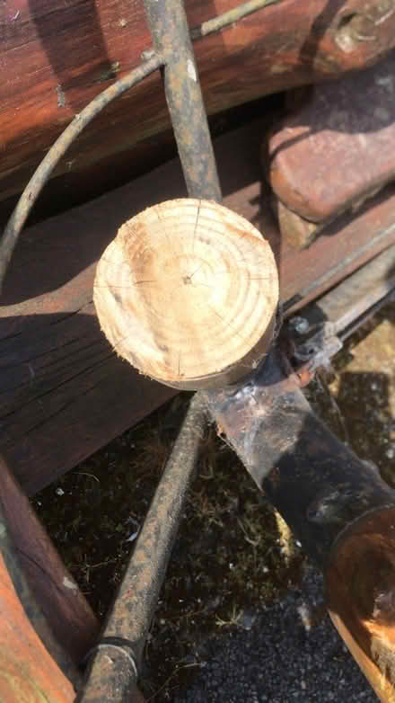 Photo of free South African solid wood (Oxford OX4) #1