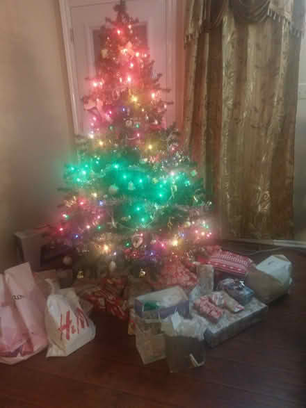 Photo of free Christmas Tree with lights (Blair East Ottawa) #1