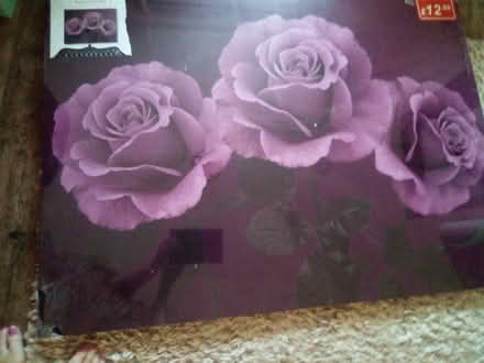 Photo of free Extra Large Flower Canvas (Morda SY10) #1