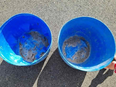 Photo of free Half barrel planters & bin (Bowerham) #2