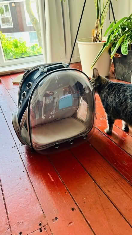 Photo of free Cat backpack (West Ham Park) #1