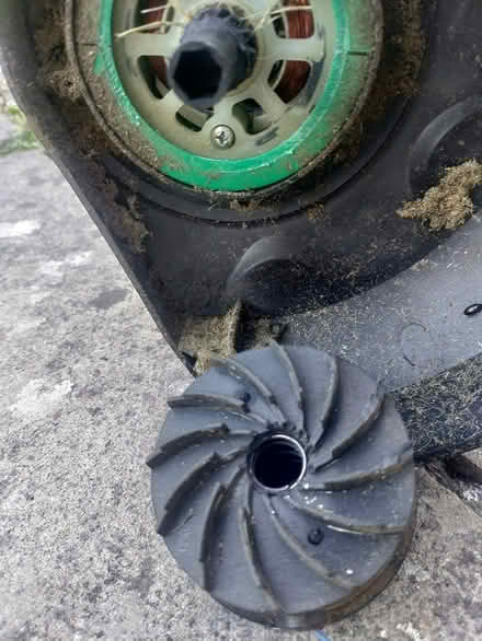 Photo of free Gardenline 400W Grass Trimmer (South Queensferry EH30) #3