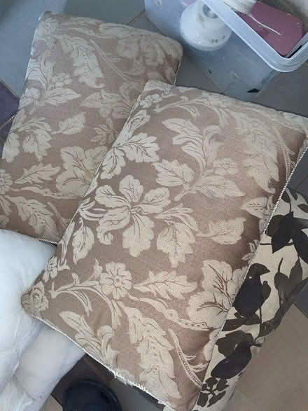 Photo of free Cushions (Bilbrook WV8) #4