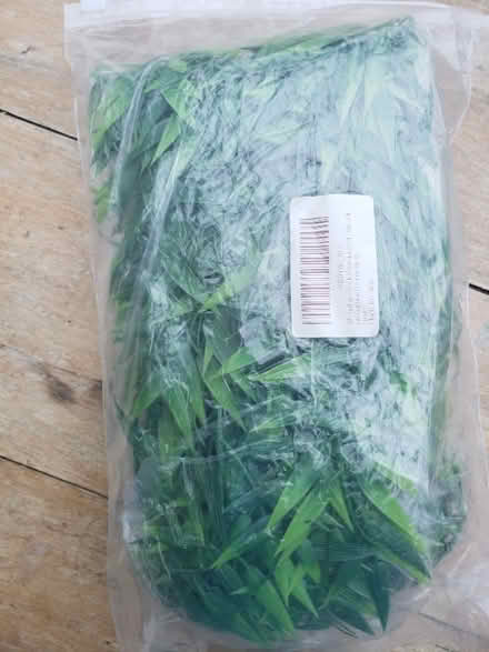 Photo of free Plastic leaves (Great Asby CA16) #2