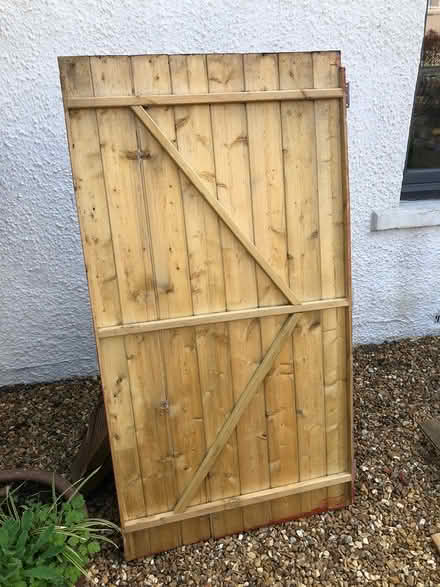 Photo of free Shed door (Kinross KY13) #2