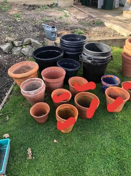 Photo of free Plant Pots (Sidley TN39) #1