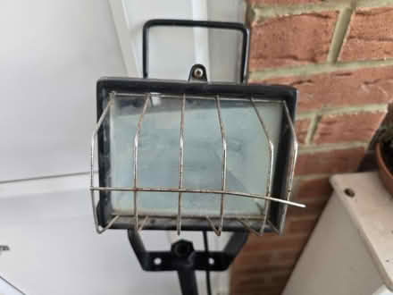 Photo of free Halogen spotlight (TW5) #2