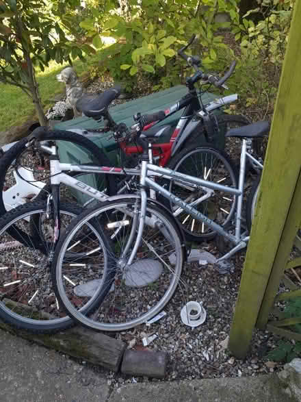 Photo of free Bikes (Tilbury RM18) #1