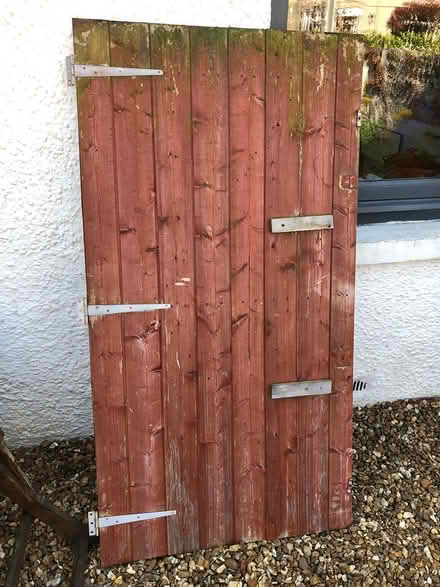 Photo of free Shed door (Kinross KY13) #1