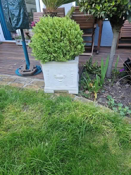 Photo of free Planters (CR0 New Addington) #2