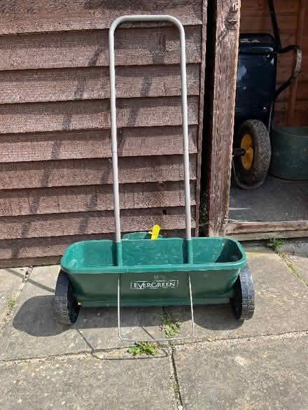 Photo of free Evergreen Spreader (Fair Oak SO50) #1