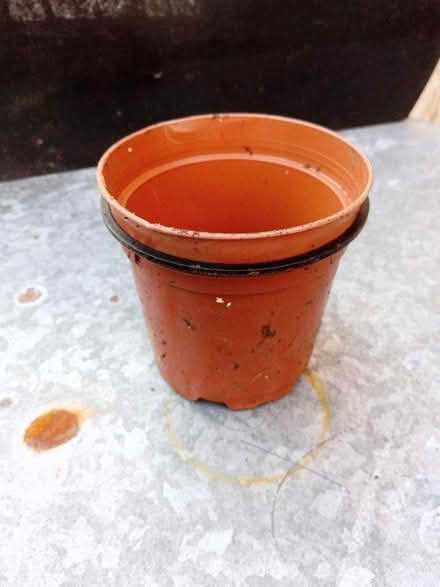 Photo of free Small plastic plantpots (Harton, NE34) #1