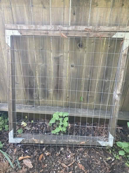 Photo of free Scrap wood/gate (Alameda - East Side) #1
