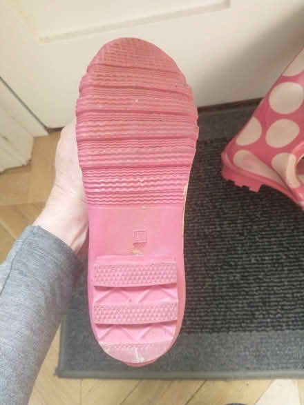 Photo of free Wellies, Adult Size 7 (University Area RG6) #2