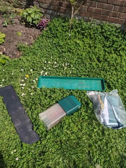 Photo of free Seeding kit (Richmond TW10) #1