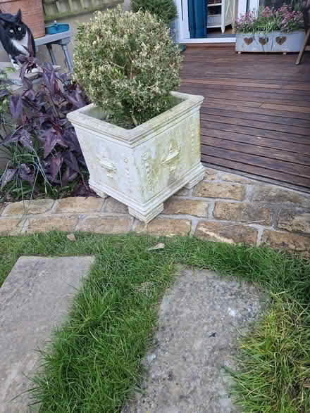 Photo of free Planters (CR0 New Addington) #1