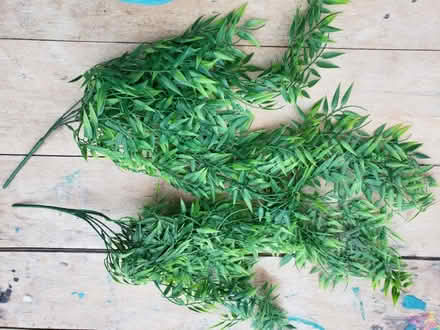 Photo of free Plastic leaves (Great Asby CA16) #1