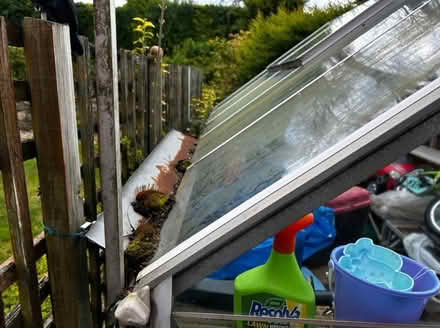 Photo of free Greenhouse 6 x 10 feet (B43) #2